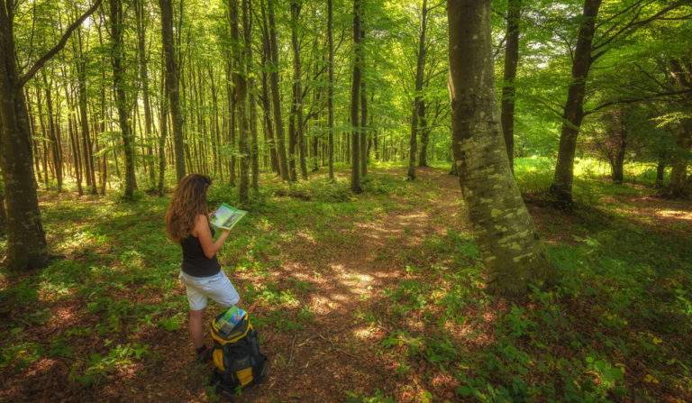 Percorsi trekking e mountain bike (Difficoltà alta)