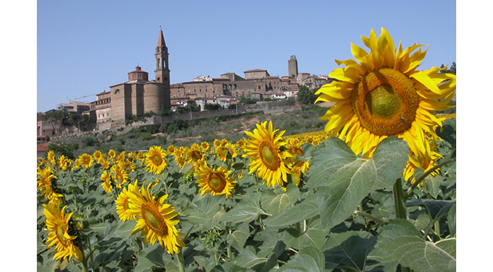 castiglion_fiorentino