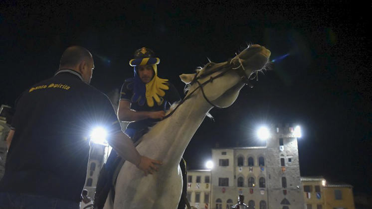 cavallo Porta Santo Spirito