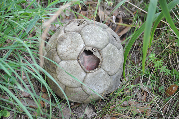 pallone