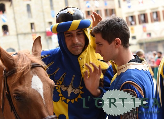 Faranno carriera