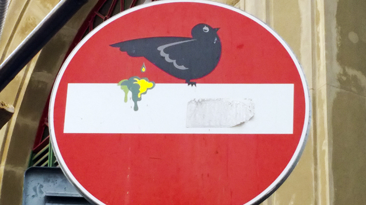 La suora, i bagagli, il cartello e il turista…