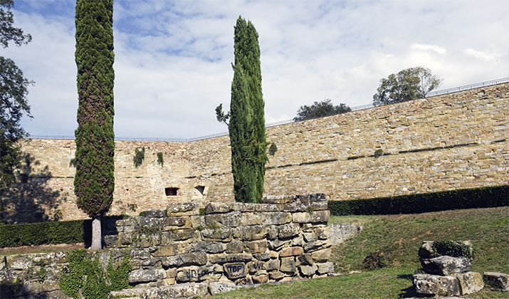 Qualcuno dica ai romani che sono tornati i vandali!
