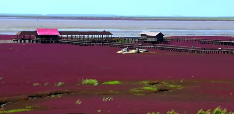 La spiaggia rossa