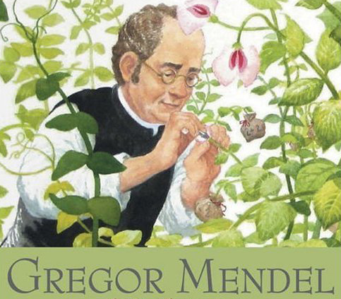 mendel