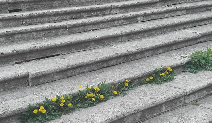 Ma le Cicale da dove passano per andare in Duomo?