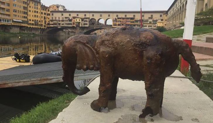 Firenze: cercavano un drone e hanno trovato un elefante!