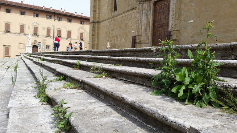 L’incuria della Curia