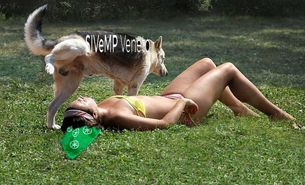 Veterinari contro la Lega Questi maligni maldicenti sostengono che il Ghinelli non ti può pagare l’avvocato se stendi fuoriorario lo stronzo di ladro