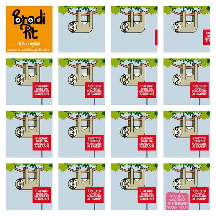 bradi-pit