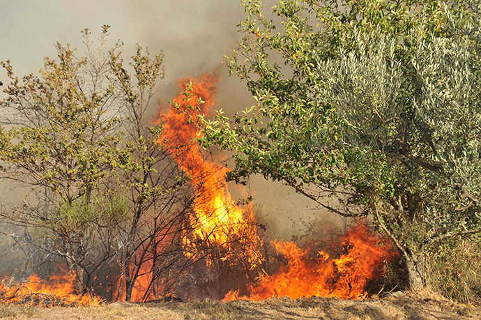 Subbiano: incendio nel bosco, 56enne ustionata