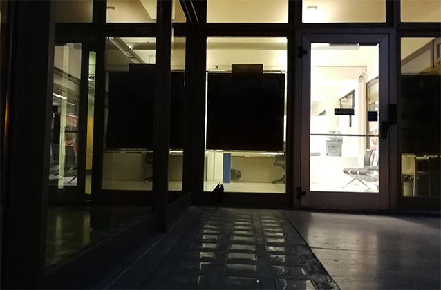 Ormai in banca ci vanno solo le galline