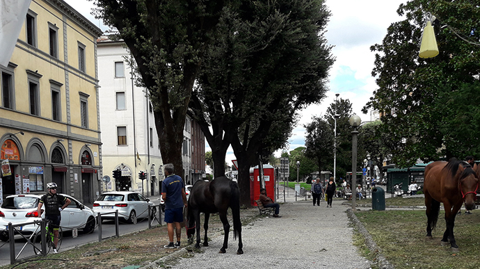 Ci vuole una lancia d’oro dedicata al Porcinai