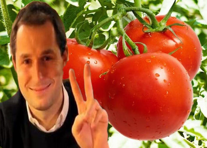 L’onorevole Donati vuole il pomodoro di Pachino, non quello di Pechino