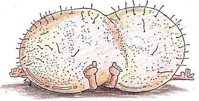 rompersi-i-coglioni