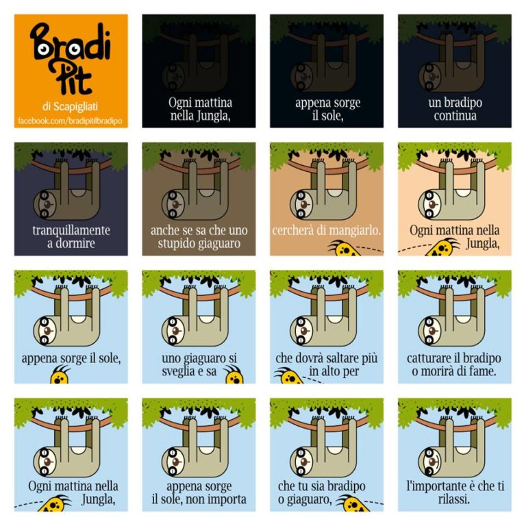 L’importante è….