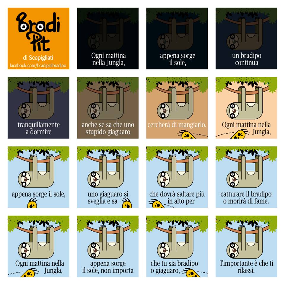 bradi-pit