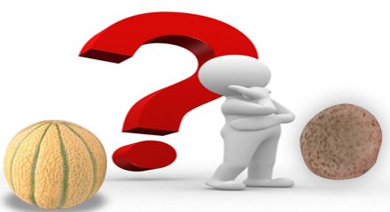 Bancaetruria, una lenticchia o un melone?