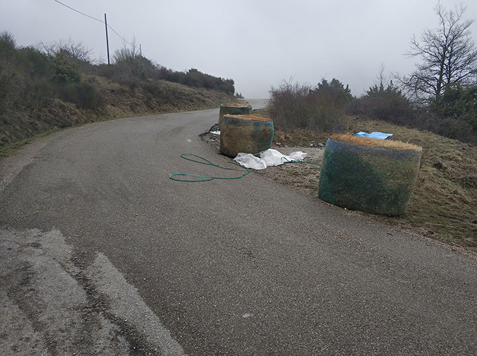 Fuori Strada