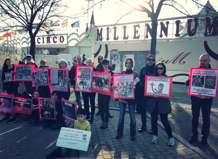 Animali a casa loro- perche’ il circo con animali e’ incivile e diseducativo