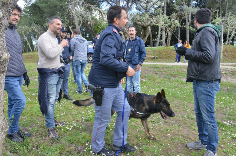 Nuovo Blitz della Polizia sul colle del Pionta, la soddisfazione del sindaco