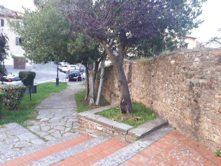 Sotterravano la droga sotto un albero nel giardino di Porta Crucifera, tre denunciati