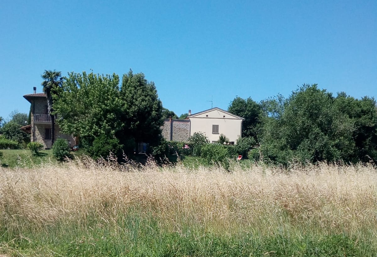 degrado campo Pieve al Toppo