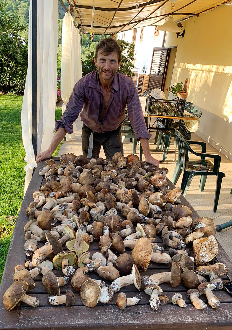 Funghi agosto 2019