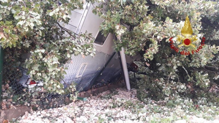 Pioggia e fulmini, allagamenti in città, a Marciano cade quercia secolare e distrugge un camper