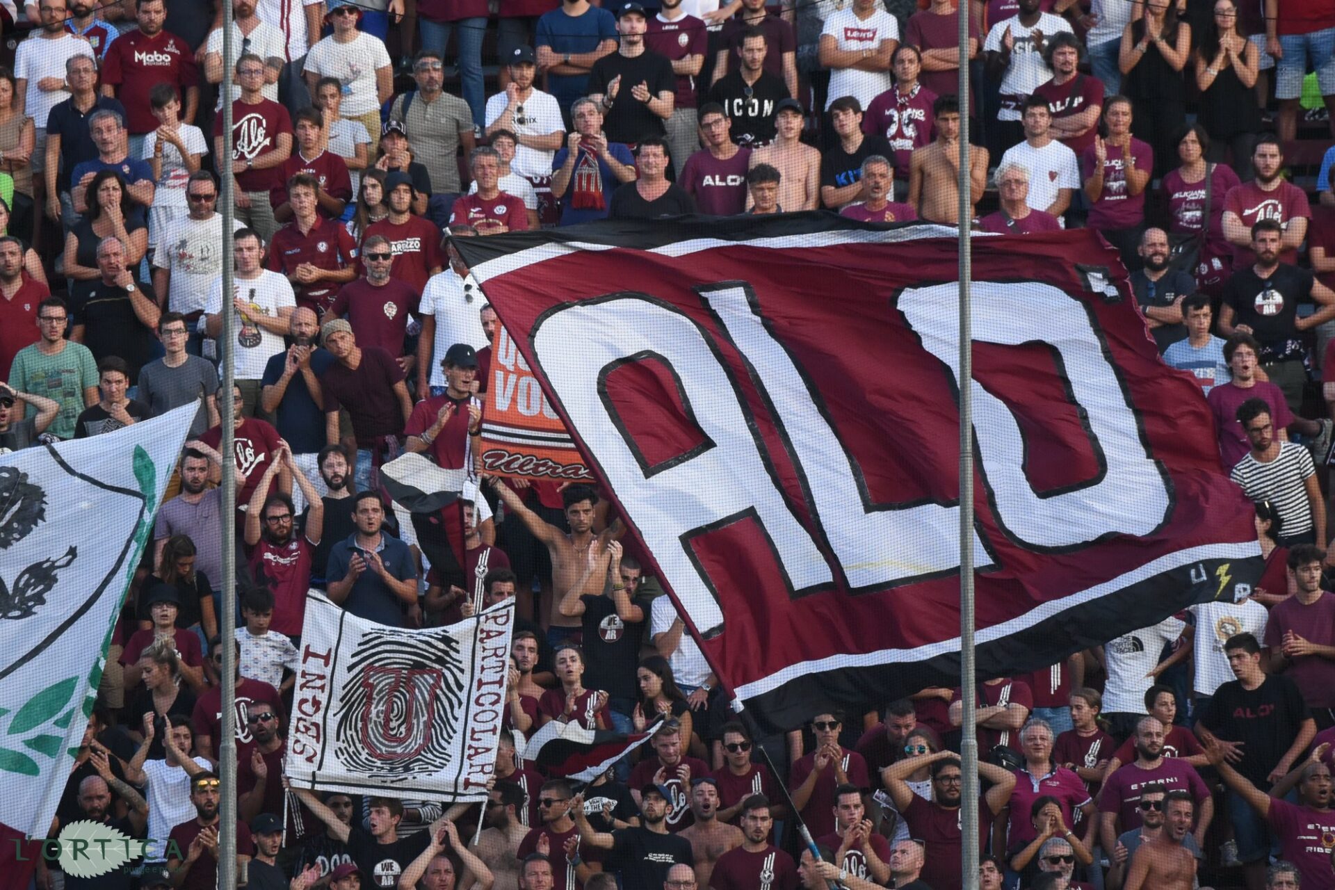 Tifo amaranto