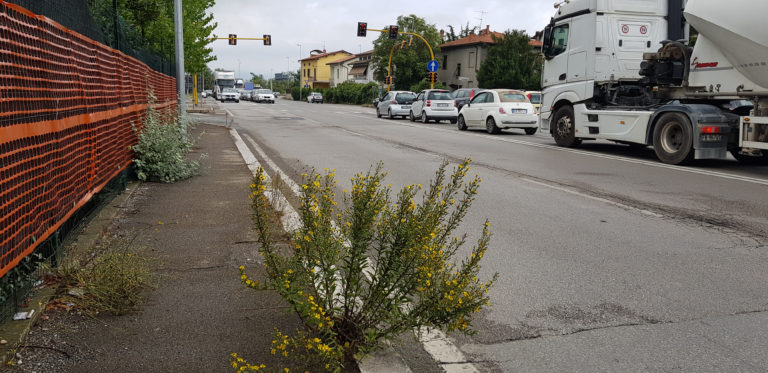 I grandi lavori per la rotatoria di via Fiorentina?