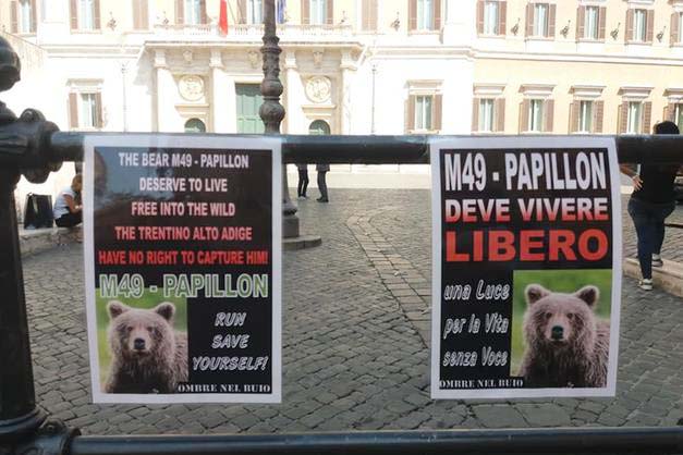 Manifestazione M49
