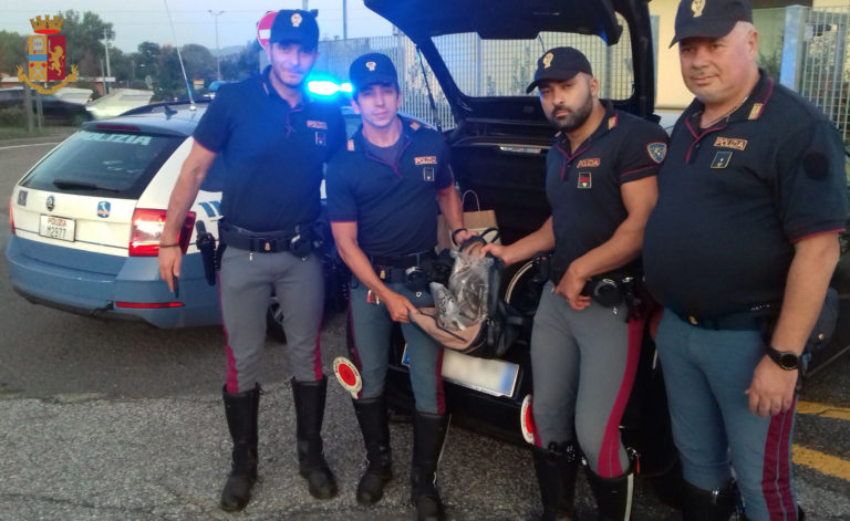 Polizia Stradale, ritira patenti e punti a raffica, recupera 4 chili di droga e 120.000 euro