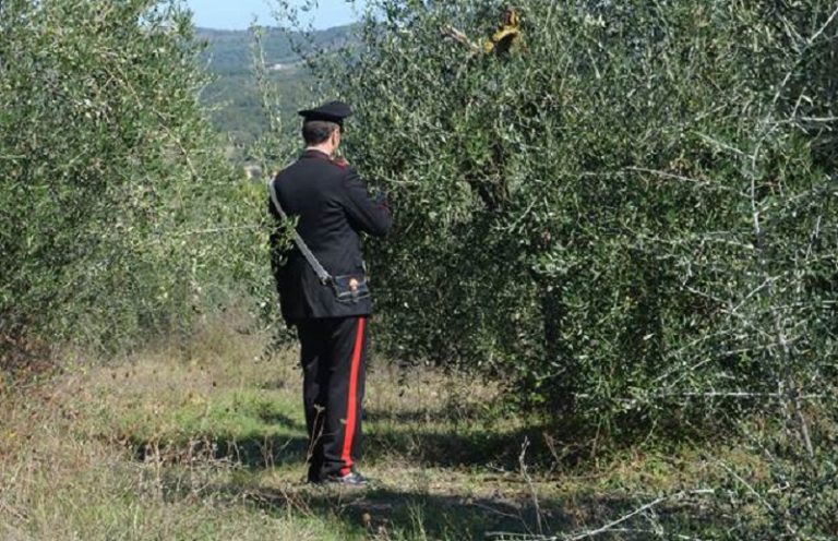 Carabinieri di Cortona ritrovano due persone scomparse