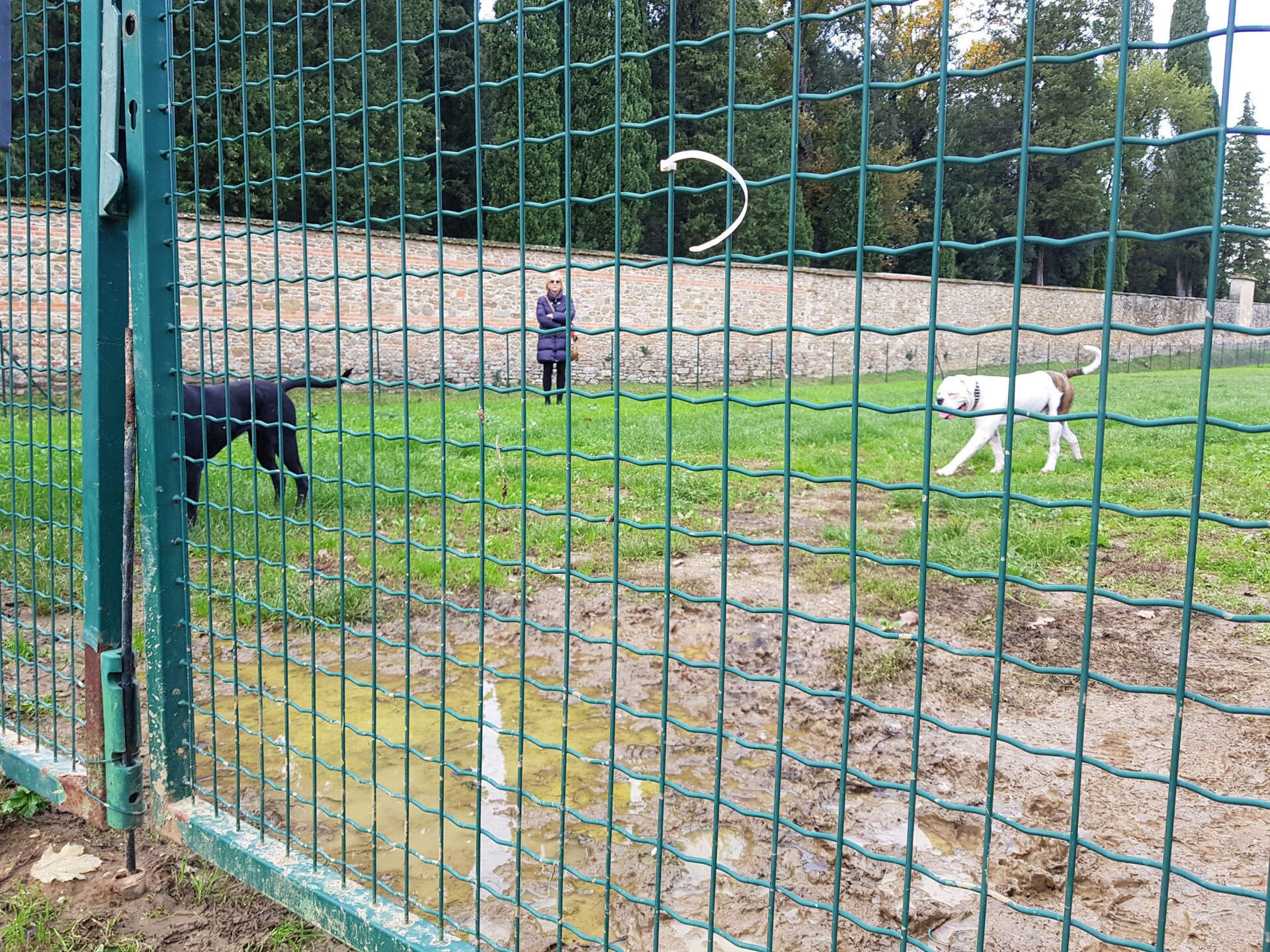 Area di sgambamento cani di Villa Severi 1