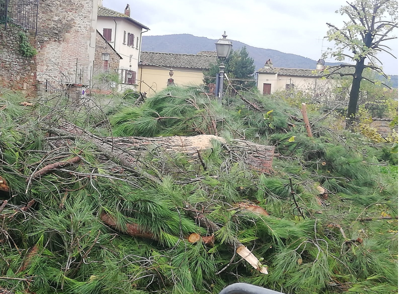 Il massacro di San Niccolo1