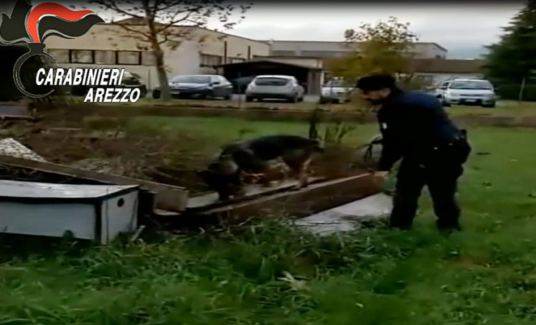 Tutte le news di oggi:  28 -11-2019