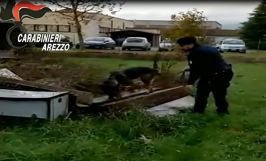carabinieri-cinofili