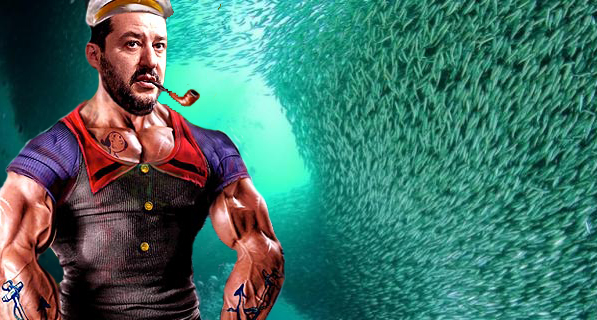 sardine