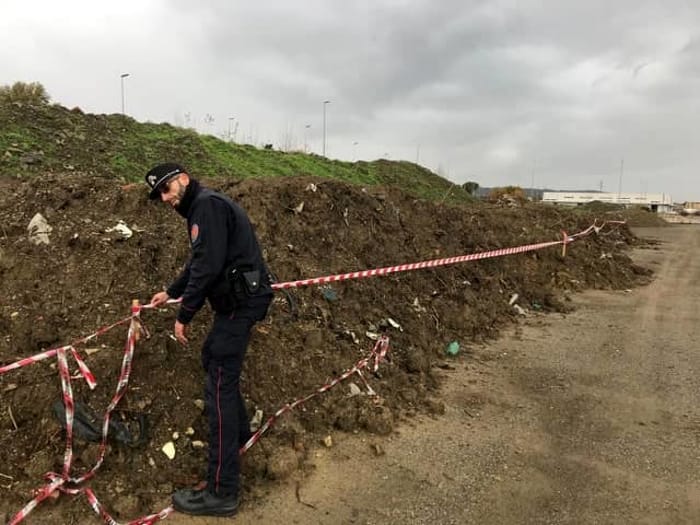 Tutte le news di oggi: 29 -11-2019