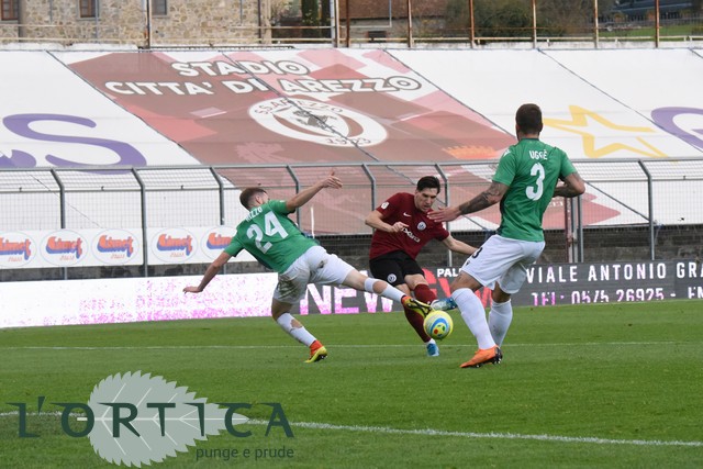 Arezzo-Gozzano (31)