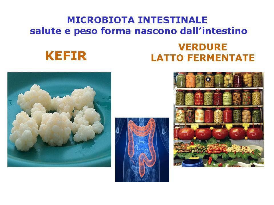 microbiota