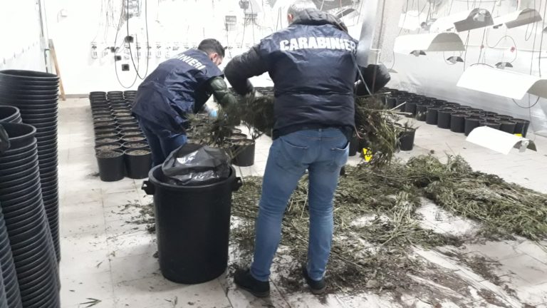 Arezzo, tutte le notizie di oggi: 29 Gennaio