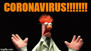 coronavirus