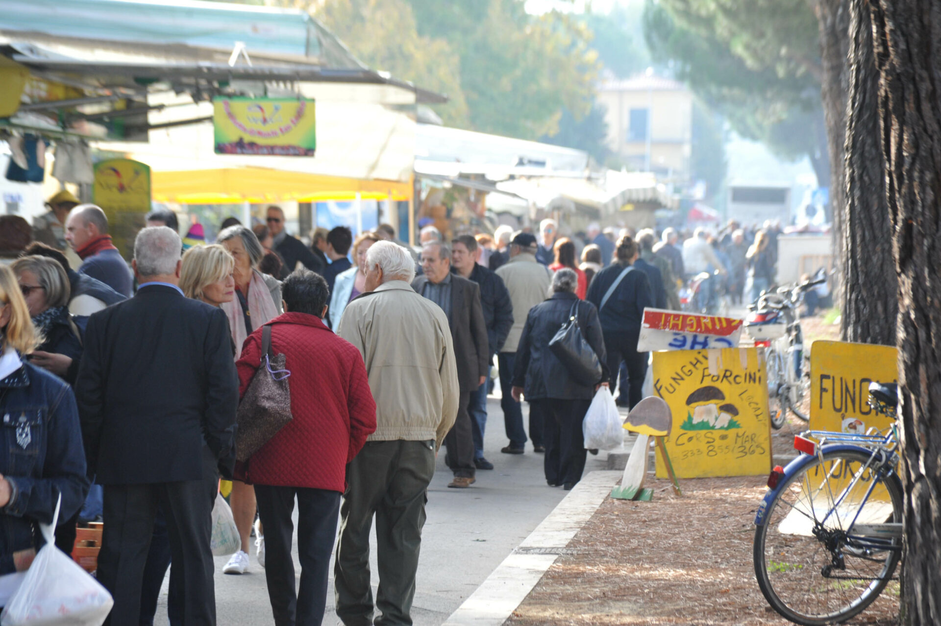 mercato-giotto