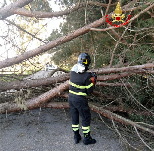 vigili del fuoco