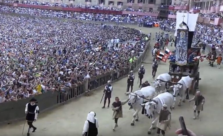 Indovina indovinello, de ‘ndo viene ‘sto torello? Da ‘n se credere!