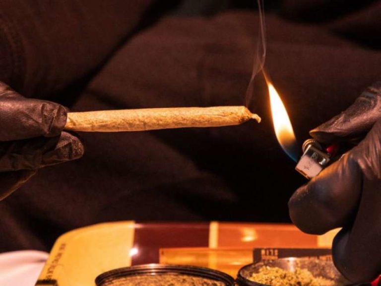 Fumare marijuana regolarmente potrebbe aumentare il rischio di contrarre il Covid19