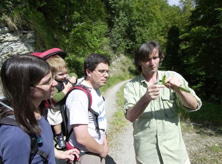 Percorsi trekking e mountain bike (facili)