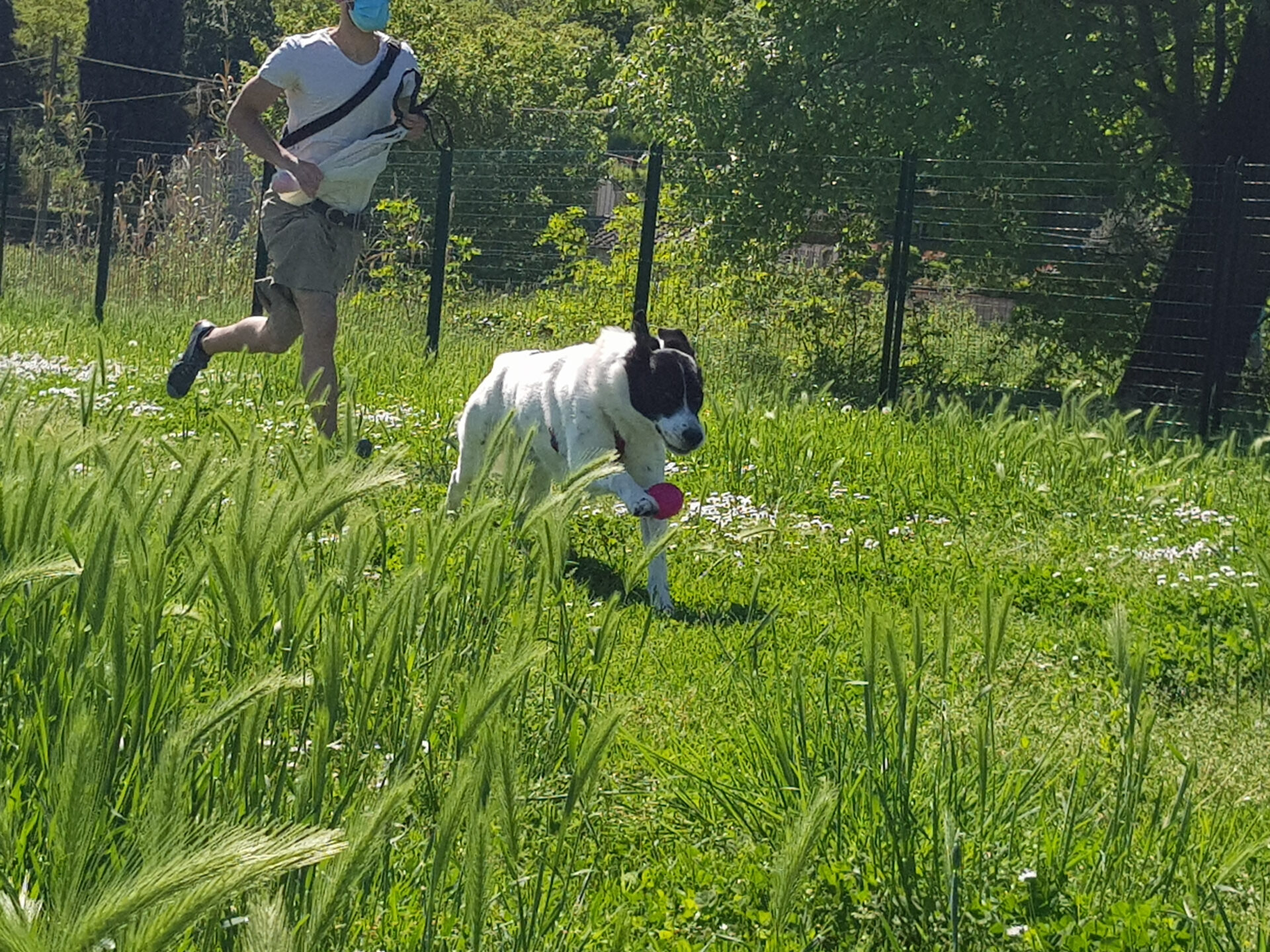 Parco Marchionna